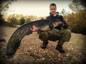 silure moselle raise fishing   